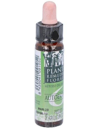 Remedio Plantis Nº 6 Autoestima 10Ml. Eco de Artesania