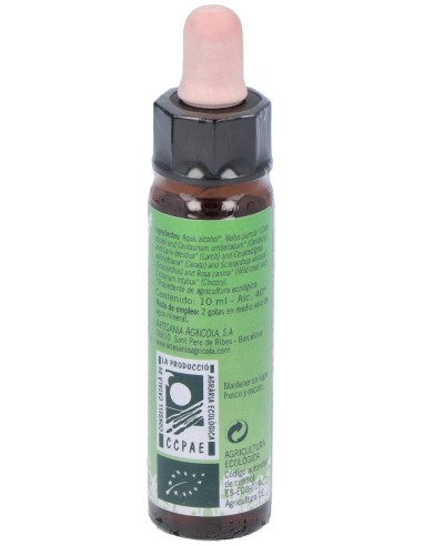 Remedio Plantis Nº 6 Autoestima 10Ml. Eco de Artesania