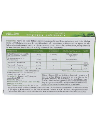 Ginkgo Biloba 6000Mg. 30Cap. de Nature Essential