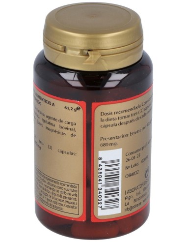 L-Glutamina 90Cap. de Obire