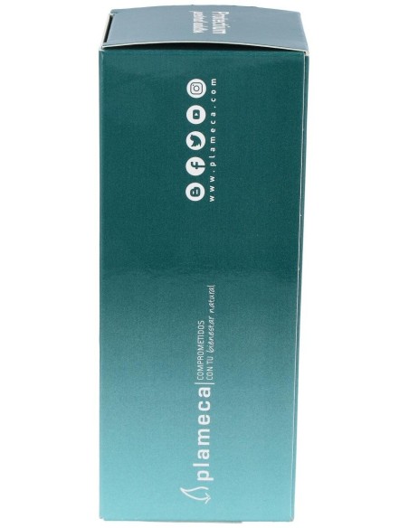 Protectium Pectoral Adultos Jarabe 250Ml. de Plameca