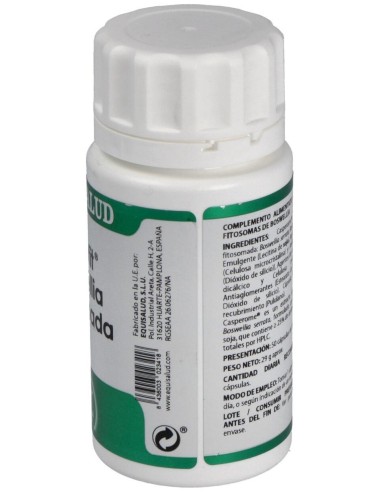 Holofit Boswellia Fitosomada 50Cap. de Equisalud