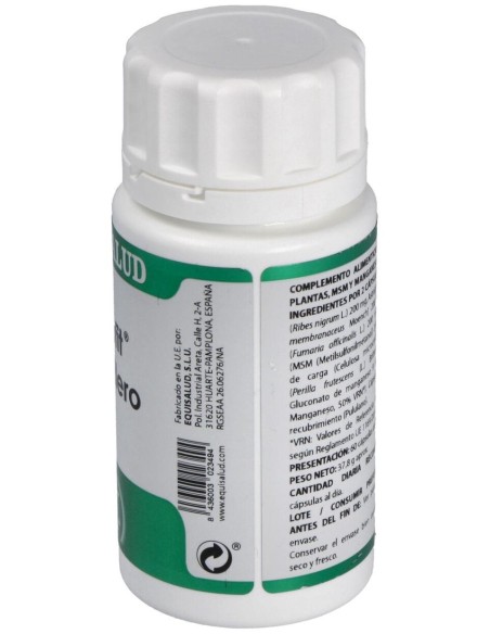 Holofit Grosellero 60Cap. de Equisalud