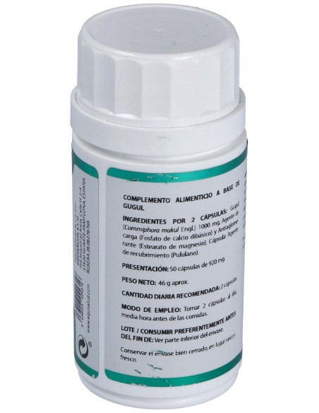 Holofit Ayurveda Guggul 50Cap. de Equisalud