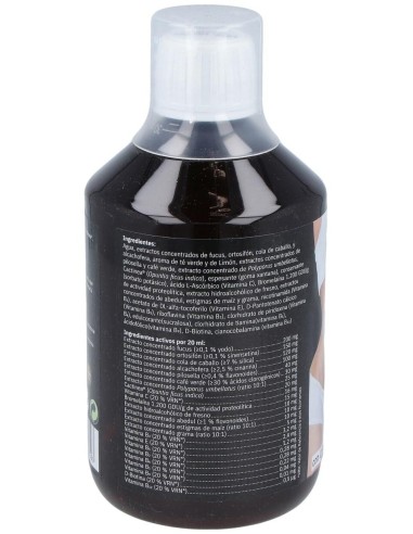 Slank Water Top Action Gold 500 Ml de Reddir