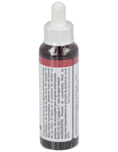 White Chestnut 20Ml. de Elidyn