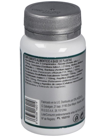 Base 2 60Comp. de Erlingen