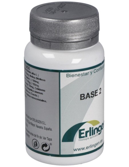 Base 2 60Comp. de Erlingen