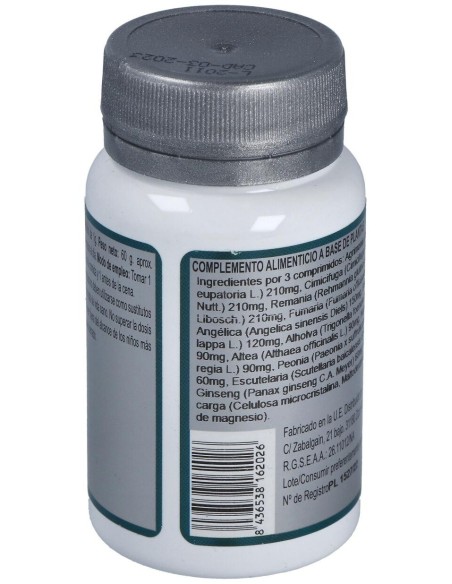 Base 2E 60Comp. de Erlingen