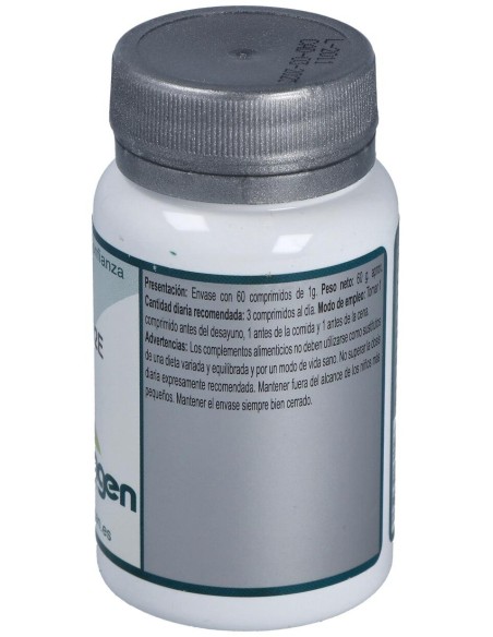 Base 2E 60Comp. de Erlingen