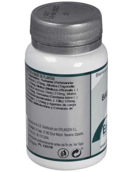 Base 2C 60Comp. de Erlingen