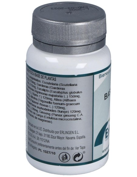 Base 2P 60Comp. de Erlingen