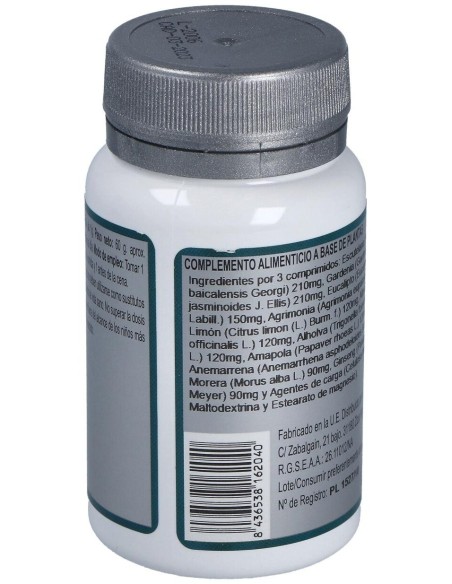 Base 2P 60Comp. de Erlingen