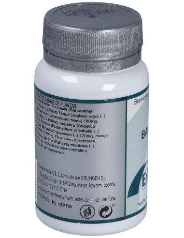 Base 4 60Comp. de Erlingen