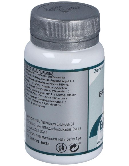 Base 4 60Comp. de Erlingen