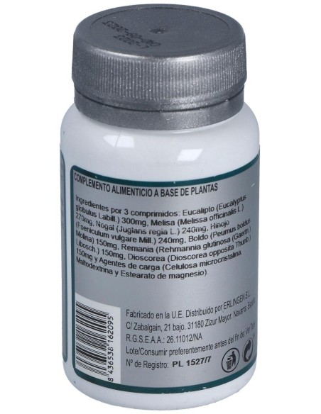 Base 5 60Comp. de Erlingen