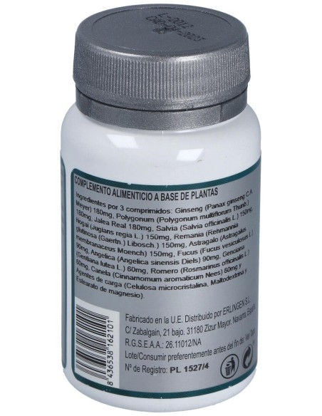 Base 6 60Comp. de Erlingen