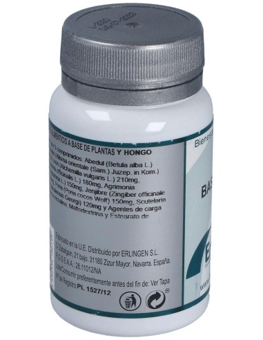 Base 10 60Comp. de Erlingen