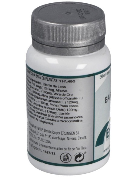 Base 11 60Comp. de Erlingen