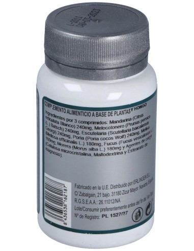 Base 16 60Comp. de Erlingen