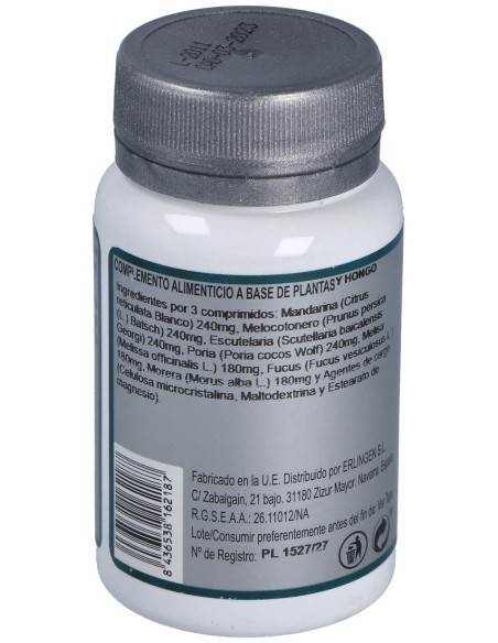 Base 16 60Comp. de Erlingen