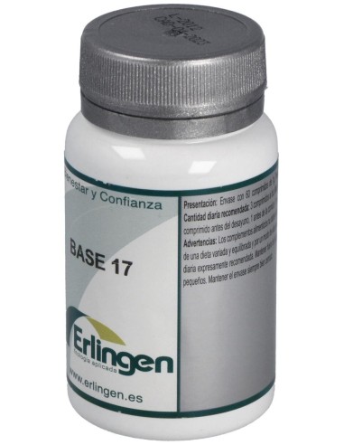 Base 17 60Comp. de Erlingen