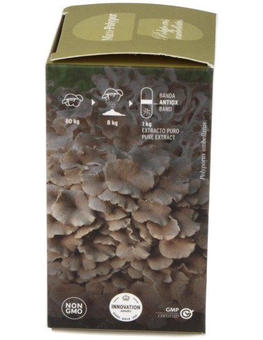Mico Polypor (Polyporus) Hdt 70Cap. de Hifas Da Terra - Hdt