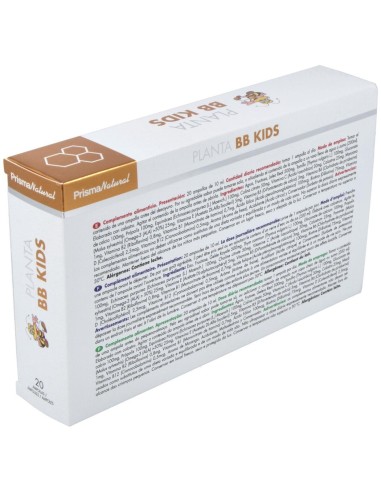 Planta Bb Kids 20Amp. de Prisma Natural