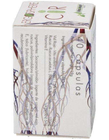 Cir Ergosphere 40Cap. de Ergonat