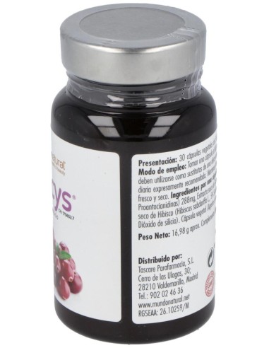 Neocys 30Cap. de Mundonatural