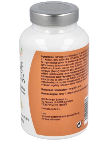 Active Silueta 60Cap. de Salengei