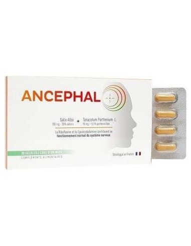 Ancephal 30 Cápsulas  Evidency Lab