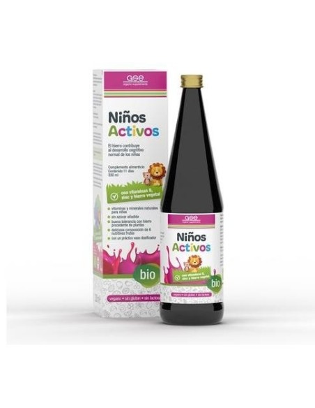 Niños Activos 330Ml. Bio Vegan de Gse