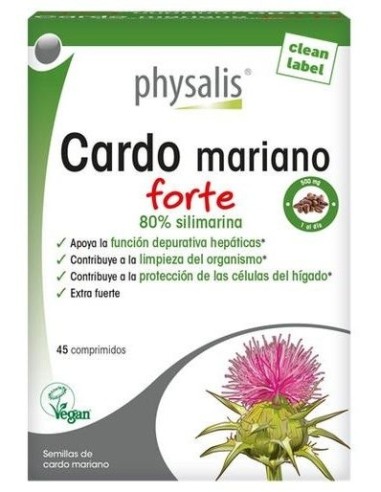 Cardo Mariano Forte de Physalis