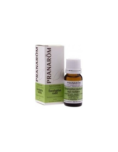 Eucalipto Radiata Hoja 10 Ml de Pranarom