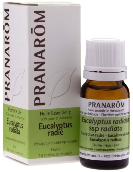 Eucalipto Radiata Hoja 10 Ml de Pranarom