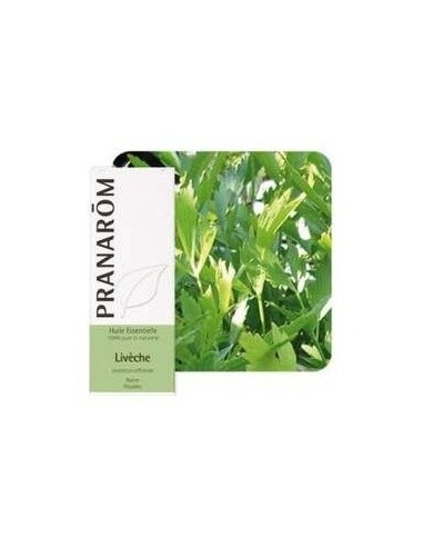 Levistico Aceite Esencial 5Ml. de Pranarom Aceites