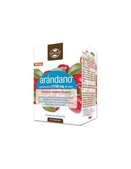 Arandano 90Mg. 60Cap. de Dietmed