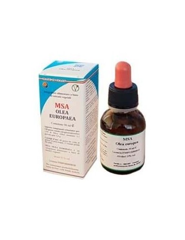 Msa Olea  Europaea Brotes Jovenes 50Ml. de Herboplanet