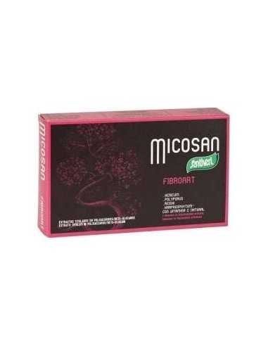 Micosan Fibroart 40Cap. de Santiveri