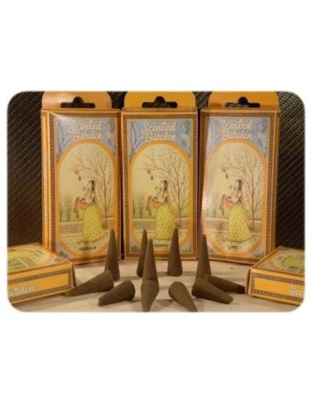 Incienso Cono Musk 12Uds. Scented Garden de Radhe Shyam