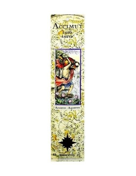 Incienso Stick Horoscopo Acuario de Radhe Shyam
