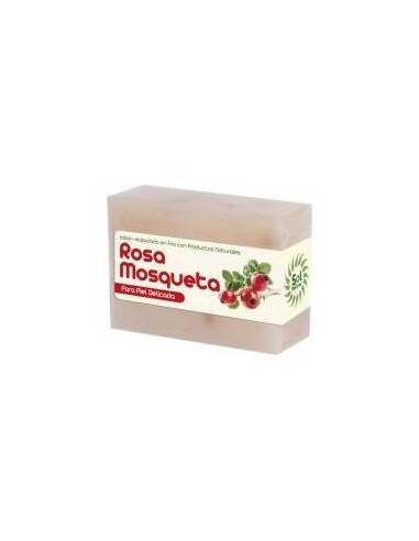 Rosa Mosqueta 100 g  de Solnatural