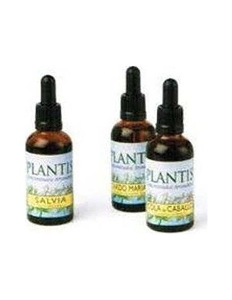 Ext.Cola Caballo 50Ml Maese Herbario de Artesania