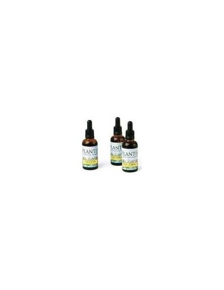 Extracto Ginkgo Plantis 50 Ml de Artesania