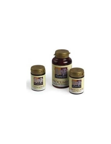 Cinaris Alcacho. Plantis 60Cap de Artesania