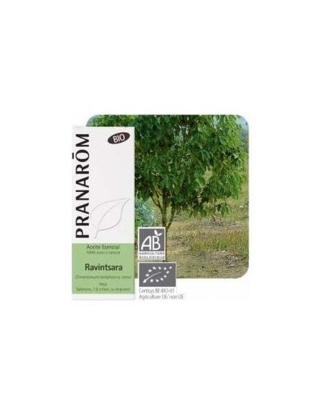 Ravensara Aceite Esencial 10Ml. de Terpenic