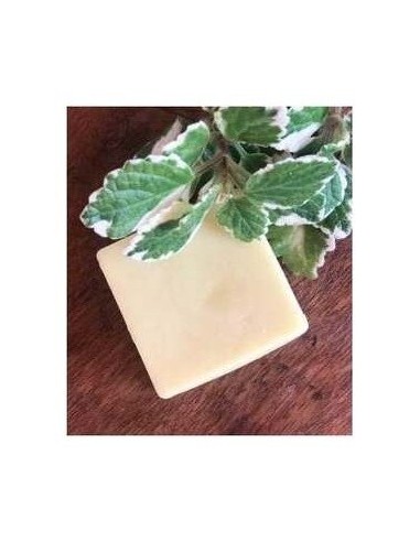 Acondicionador Solido Cabello Fino 55Gr. de Nitx