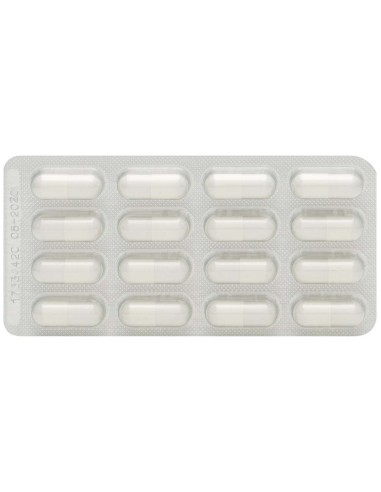 Ymea Silueta 64Cap. de Ymea