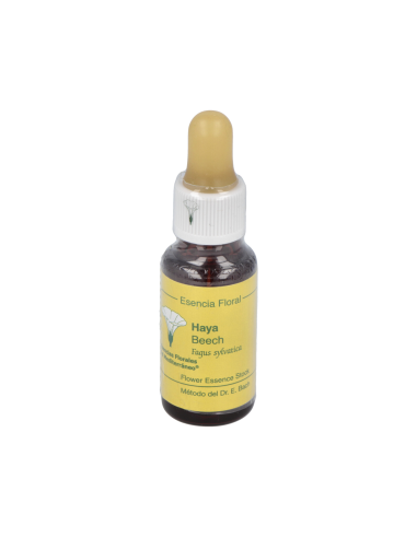 Beech E.F.Mediterraneo 20 Ml. - E.F.Mediterraneo
